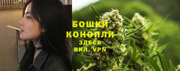 2c-b Нязепетровск