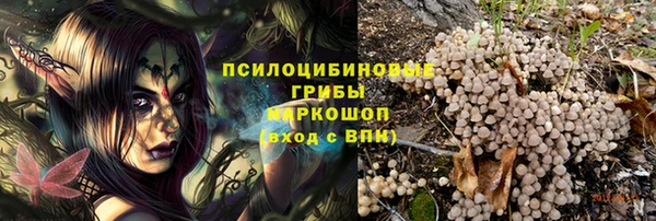 2c-b Нязепетровск