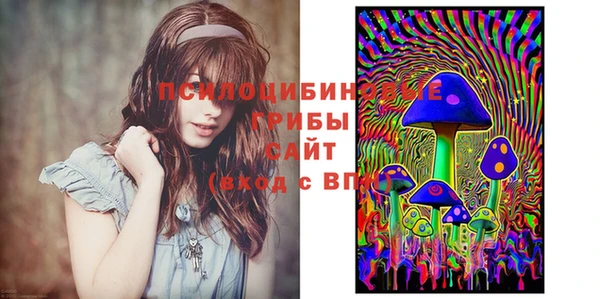 гидропоника Няндома