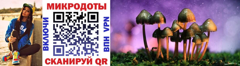 Купить закладки  Приволжский  Галлюциногенные грибы GOLDEN TEACHER 